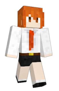 Front of Minecraft skin