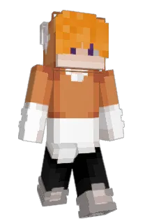 Front of Proxyestimator's skin