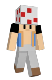 Front of Sandinio's skin