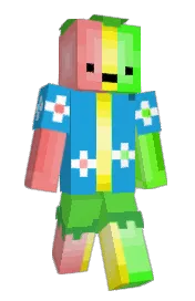 Skin preview