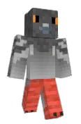 flyingwaffle237