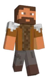 Birang's Minecraft skin wearing the Migrator cape