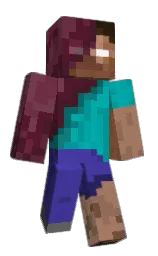 cocoa bean and finn Minecraft skin — Classic model