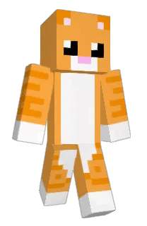 Front of LewiaN_'s skin