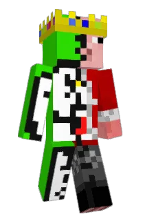 Front of Adaptationss's skin