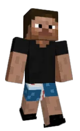 sandal and woodsmoke Minecraft skin — Classic model