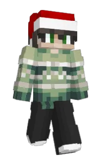 Front of EinNetro's skin