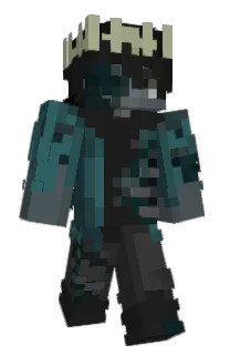 Front of IV0227's skin