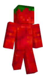 Raphoutou's Minecraft skin wearing the Aurora cape