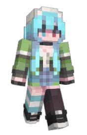 Skin preview