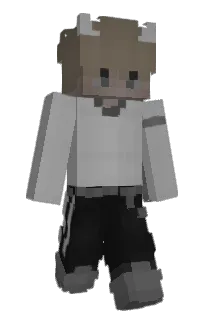 Front of leisil's skin