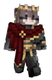 Front of sonicc_xx's skin