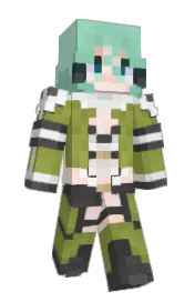 Skin preview