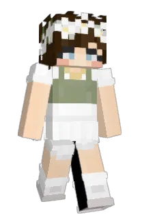 Front of ivreli's skin