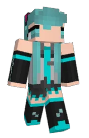 Skin preview