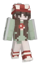 Skin preview