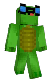 Skin preview