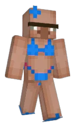 Minecraft skin — Classic model
