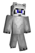 Nusstor