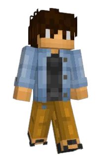 Front of plctoo's skin