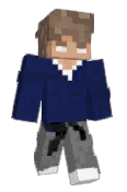 SebTint