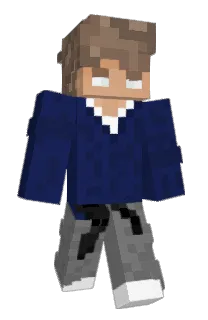 Front of SebTint's skin