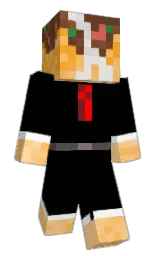 royTNT's Minecraft skin wearing the Pan cape