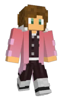 Front of PoplinMan's skin