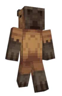 Front of twgi's skin