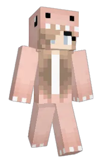 Front of alysans's skin
