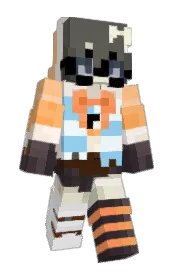 Skin preview