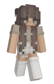 Front of Minecraft skin