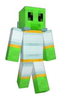 Front of toboken's skin