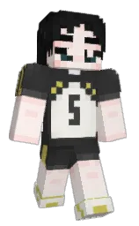 Classic Minecraft skin