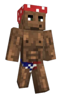 Front of Nebsi's skin