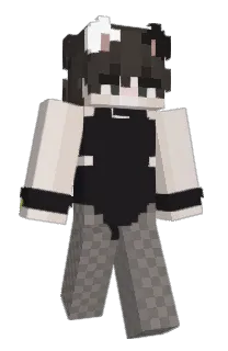 Front of ih8shine's skin