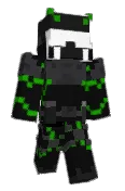 VertiSeer