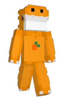 Front of Conot's skin