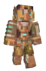 Skin preview