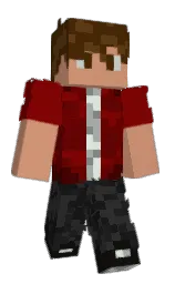 Classic Minecraft skin