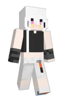 Front of R1RoE's skin
