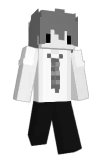 Front of counterplan's skin