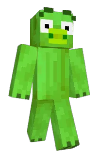 Front of sUMMONLEss's skin
