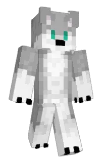 Front of _Snowpix_'s skin