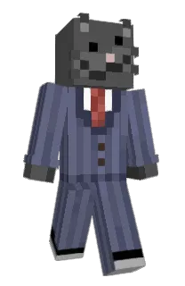 Front of tib__'s skin