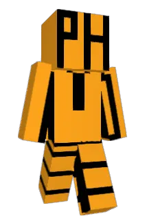 1geG72 Minecraft avatar full body