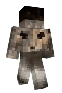 1ight Minecraft avatar full body