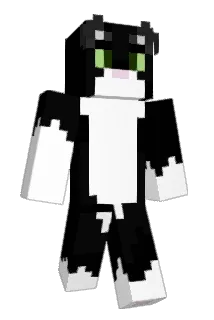 1katttt Minecraft avatar full body