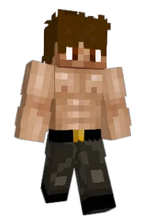 1l1 Minecraft avatar full body