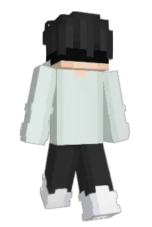 1mN0tReal Minecraft avatar full body